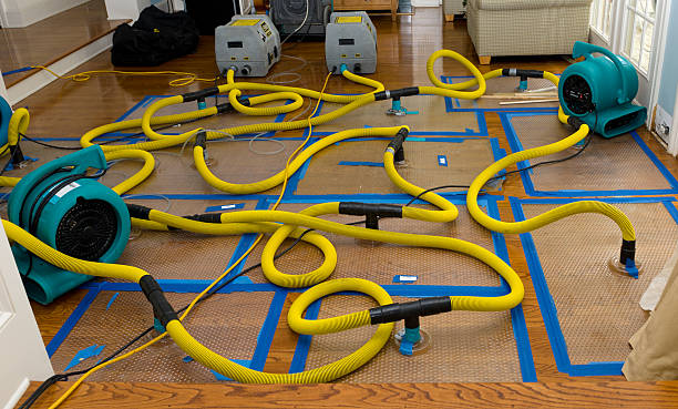 Professional Sewage Cleanup technician working in Rockville, MN